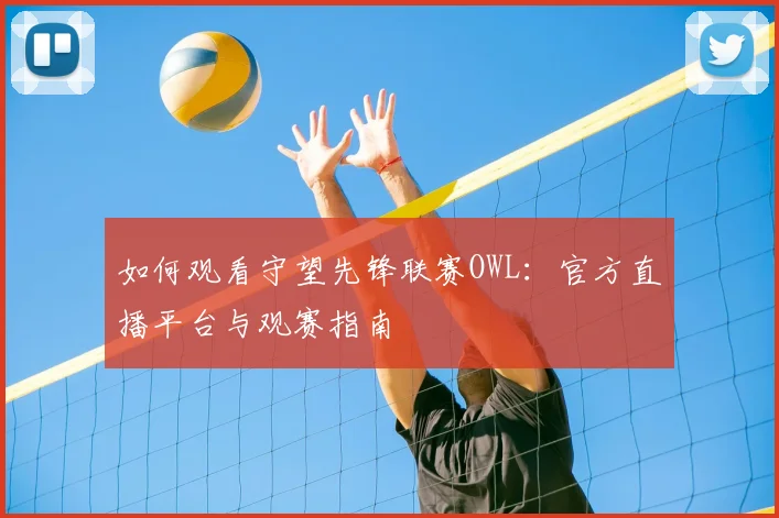如何观看守望先锋联赛OWL:官方直播平台与观赛指南