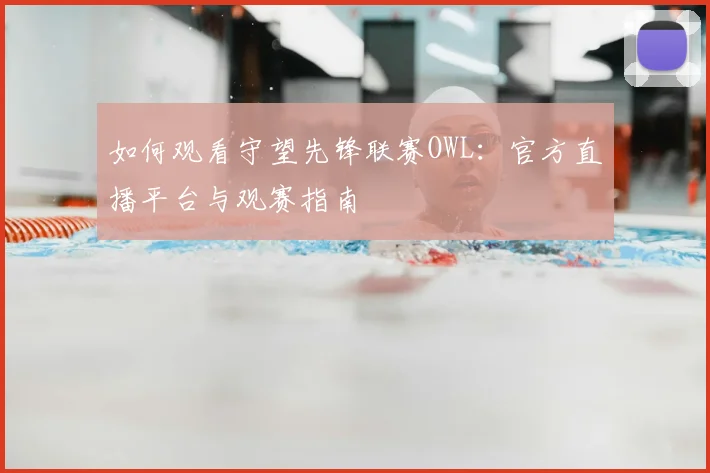 如何观看守望先锋联赛OWL:官方直播平台与观赛指南
