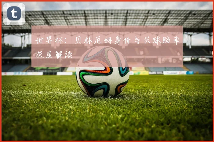 世界杯:贝林厄姆身价与买球赔率深度解读